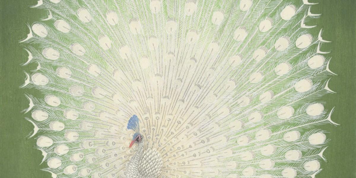 Albino Peacock - artwork in frame preview