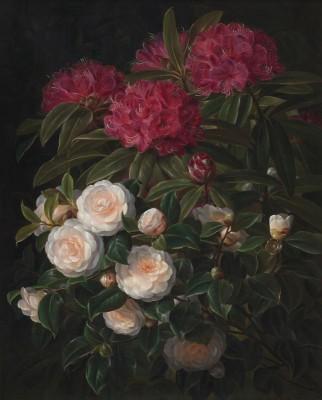 Camellias and rhododendrons - artwork in frame preview