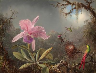 Cattleya orchidee met drie kolibries in tuinzicht - artwork in frame preview