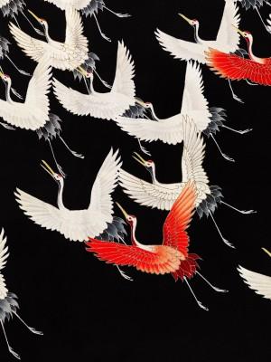 Flying Cranes