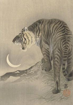 Roar van de tijger in het wild - artwork in frame preview