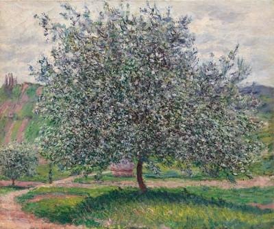 Zonnige buitenlucht met impressionistische toets