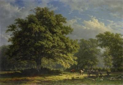 Gezicht in het Bentheimse bos - artwork in frame preview