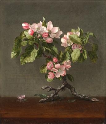 Hummingbird and Apple Blossoms