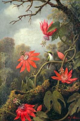 Kolibrie en passiebloemen in openlucht - artwork in frame preview
