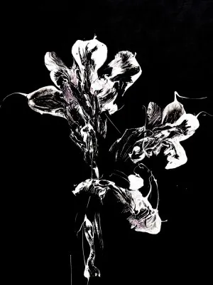 Abstracte zwart-wit illustratie van monochrome bloemblaadjes op een donkere achtergrond