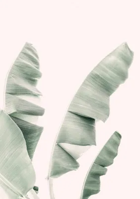 Verticale foto van groene bananenbladeren met zachte blush tinten tegen een witte achtergrond in een rustige interieursetting