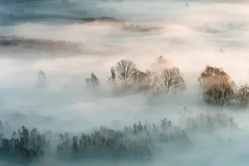 Horizontale foto van mistig winterlandschap met bomen en zachte ochtendnevel in Brivio, Lombardije