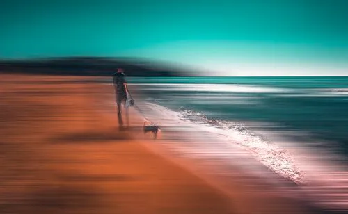 Abstracte horizontale strandfotografie met mensen en honden tijdens een wandeling langs kust en zee