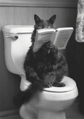 The Sin Queen's Throne Room