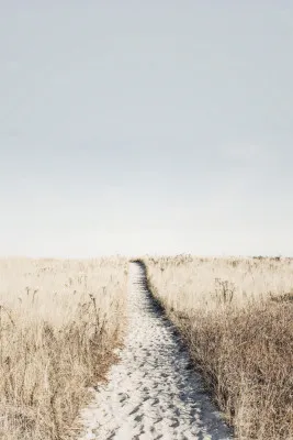 Verticale landschapsfoto met zandduinen, kalm water en horizon aan zee in natuurlijke kleuren