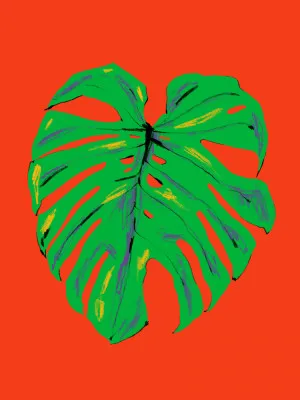 Monstera Leaf Red
