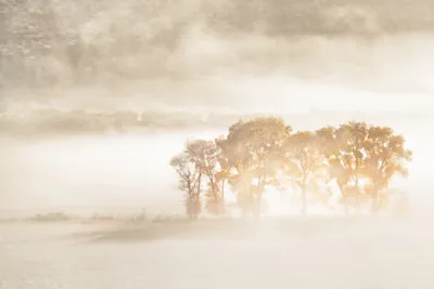 Landschapsfoto van de Rocky Mountains in de herfst met mist, sneeuw en bomen in zachte lichte kleuren