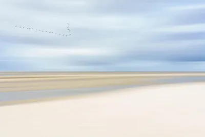 Horizontale foto van rustige kustlijn met zee, zand, bewolkte lucht en vogels in formatie