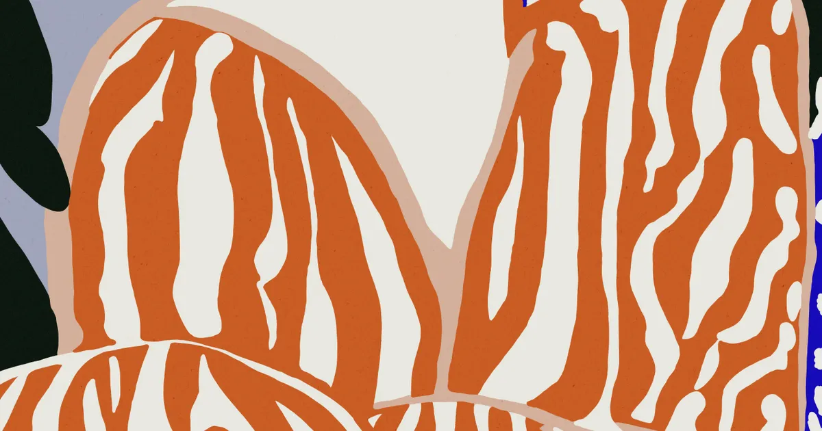 Zebra elegance van treechild in portretvorm