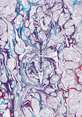 Kayak Gliding Through Swirling