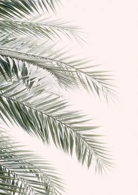 Verticale foto van groene palm bladeren tegen een lichte, neutrale achtergrond