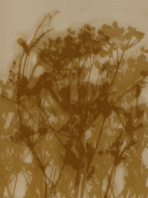 Abstracte bloemen in oker en bruin