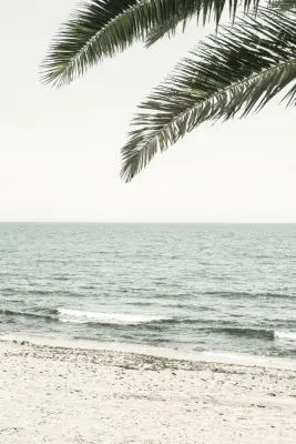 Verticale foto van een tropisch strand met palmbomen, zand en stille oceaan op de horizon