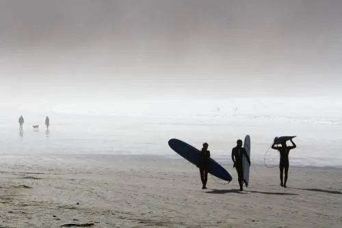 Horizontale foto van silhouetten van surfers met surfboards en een hond op het strand bij een mistige kust
