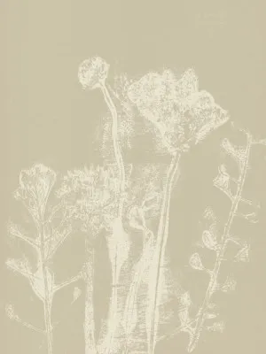 Verticale illustratie van abstracte witte weideplanten en bloemen op een neutrale beige achtergrond door Dina Dankers