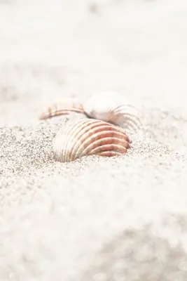 Verticale close-up foto van een strandpatroon met schelpen en zand in helder licht