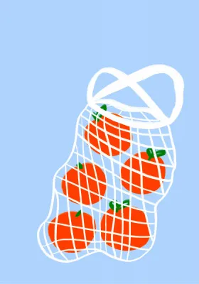 Tomatoes in Mesh