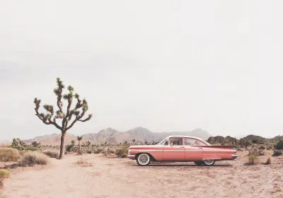 Horizontale foto van woestijn met roze zandduinen, groene cactussen en een vintage auto op een stille weg