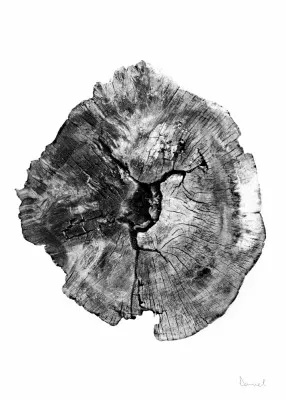 Monochrome verticale illustratie van een eikenhoutstam met duidelijke textuur en abstract patroon