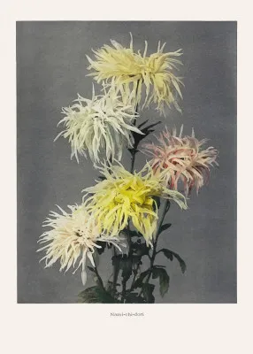 Verticale Japanse botanische illustratie met kleurrijke bloemen en planten in landelijke buiten scène