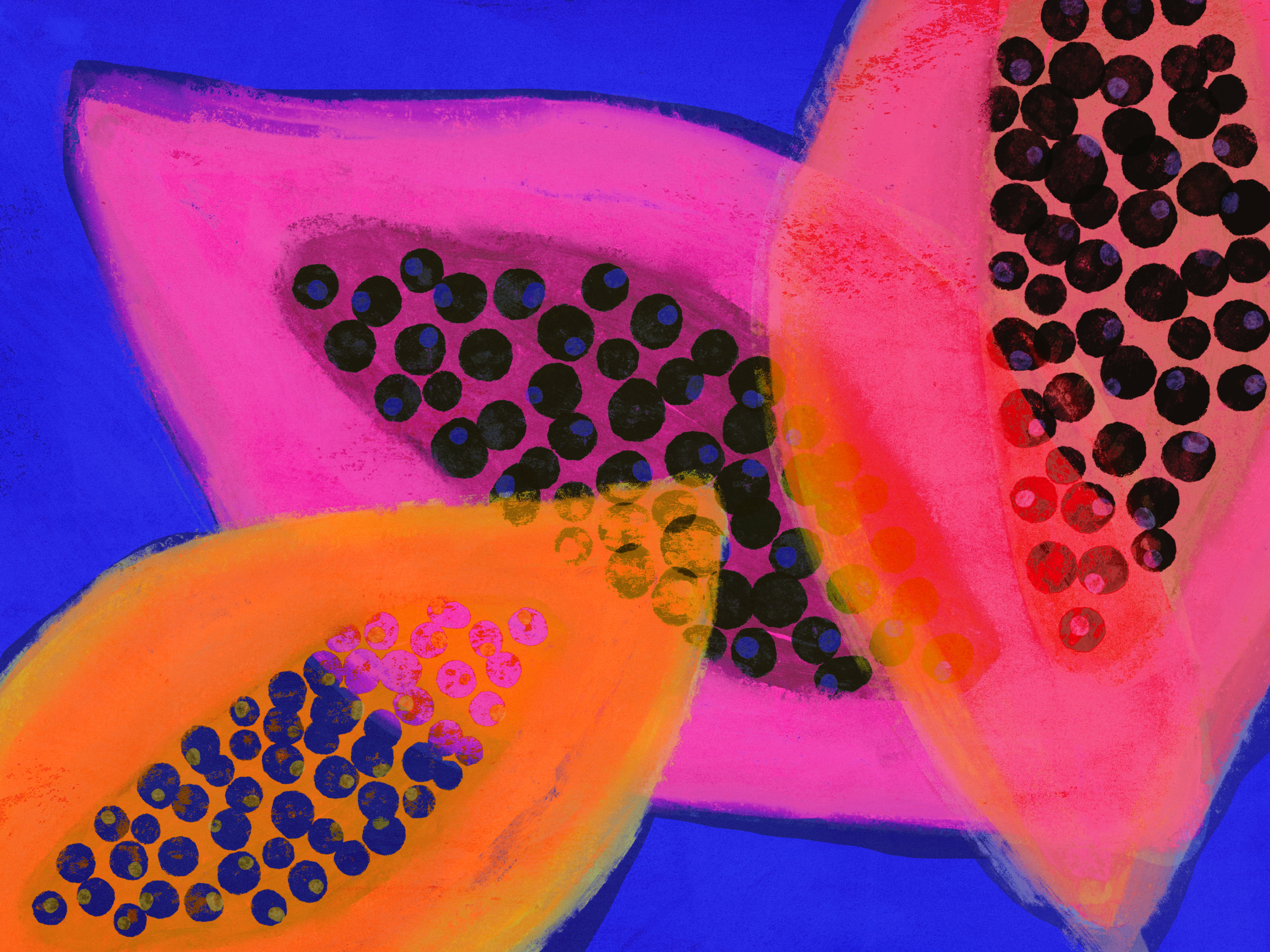 Vibrerende harmonie in papaya kleuren