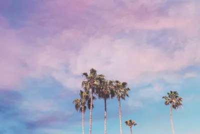 Horizontale foto van pastelgekleurde palmbomen langs de kust van Newport Beach met zee en wolkenlucht