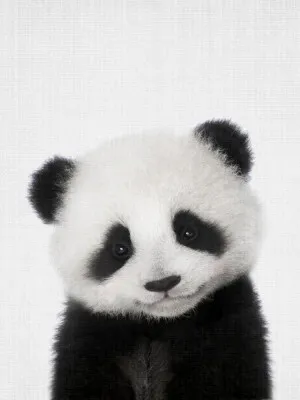 Verticale illustratie van een baby panda in een buitenomgeving met diverse kleuren en een minimalistische achtergrond