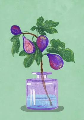 Figs Branch In Vase