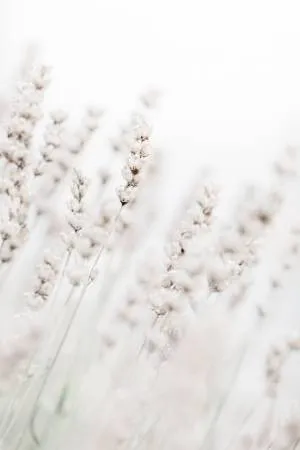 Verticale macrofotografie van grashalmen in een weide met zachte bokeh en natuurlijke kleuren