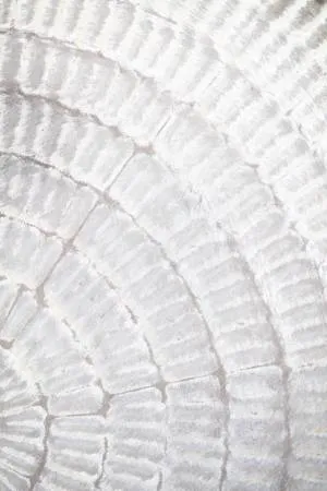 Verticale abstracte fotografie met helder geometrisch patroon en diverse kleuren, buitenomgeving gesuggereerd