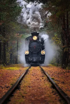 Verticale foto van een rode stoomlocomotief die door een kleurrijk herfstbos rijdt langs spoorrails in Polen