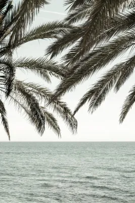 Verticale fotografie van een tropische palmboom met palmbladeren langs een zonnige kustlijn met zand en zee