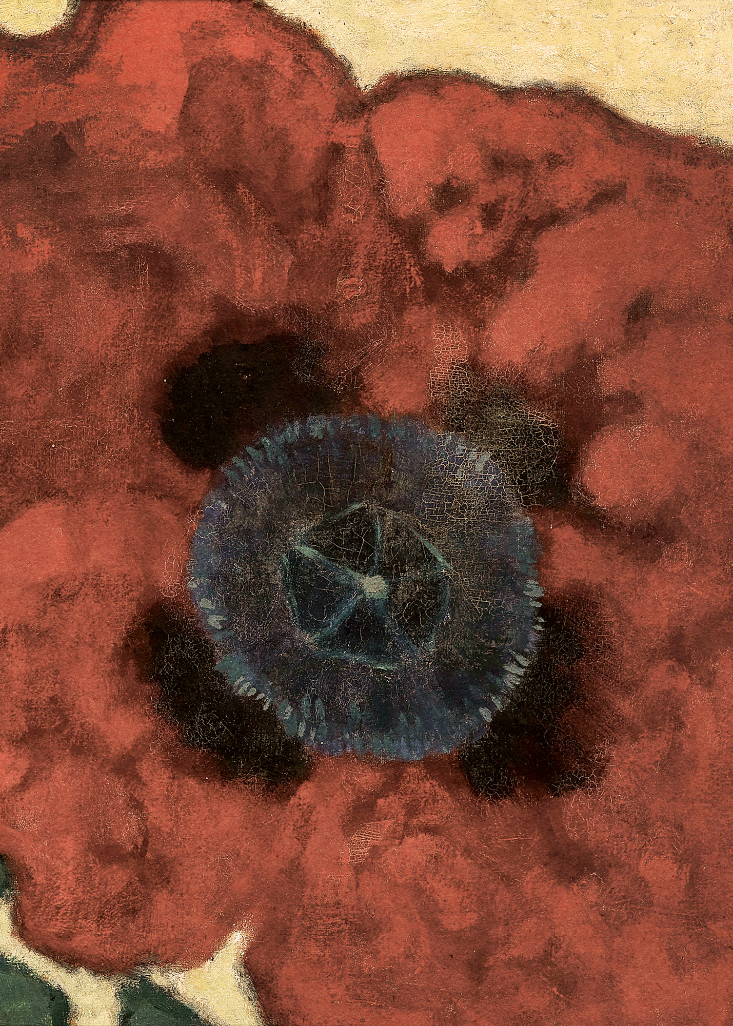 Klaproos in winterse tuin