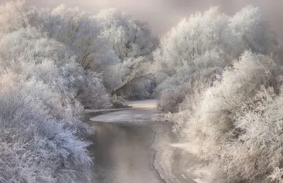 Horizontale winterfotografie van bevroren beek met sneeuw en bomen in Transsylvanië