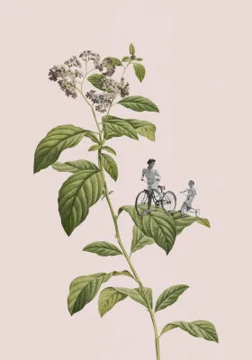 Botanical cycling