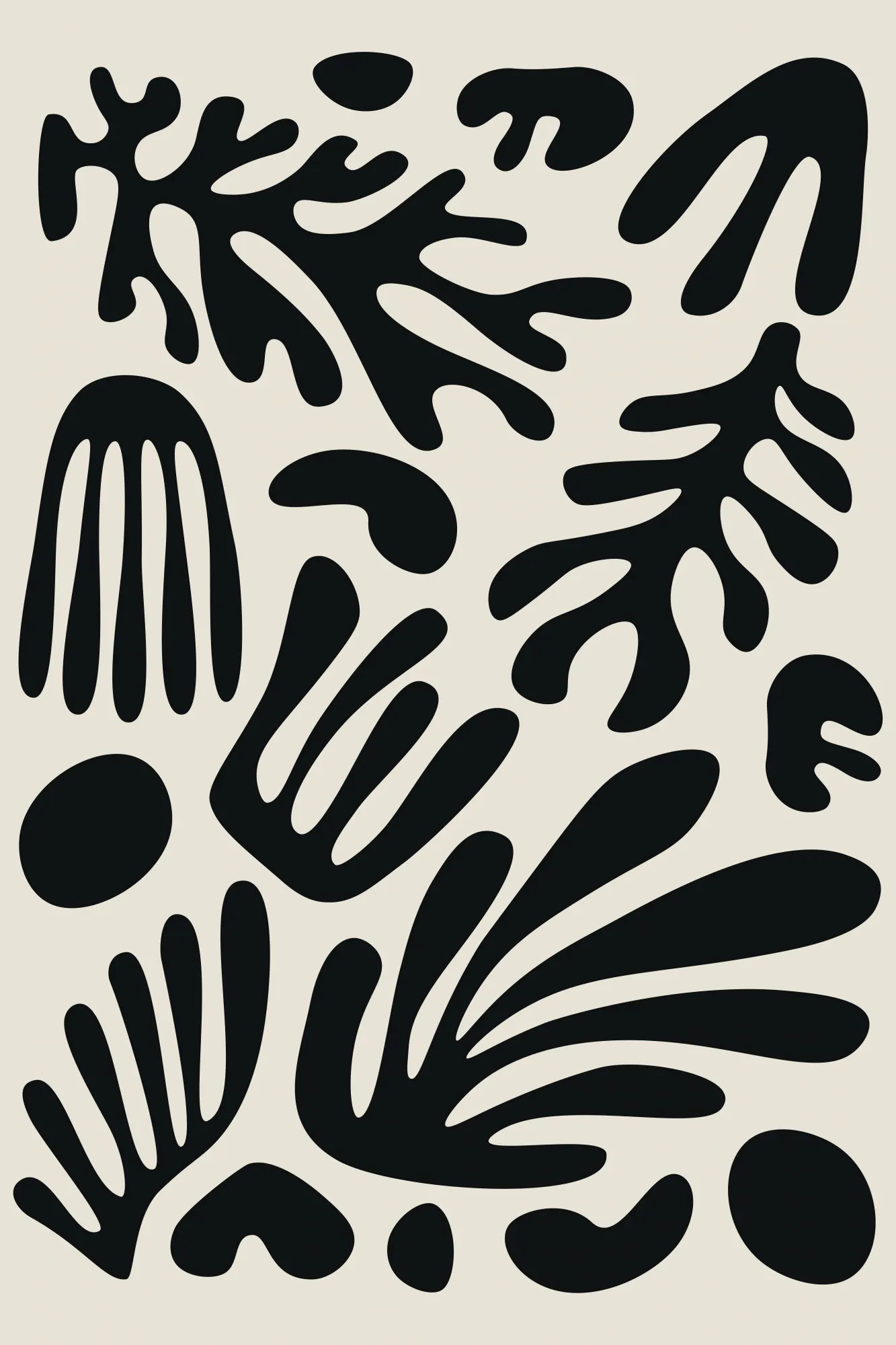 Henri matisse black algae collection #3