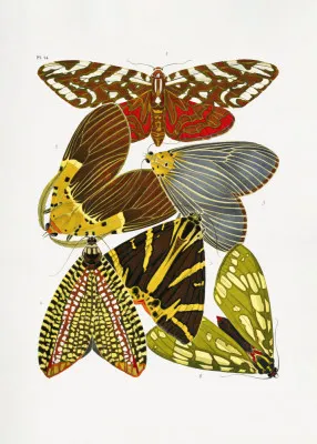 Verticale vintage illustratie Butterflies 6 met diverse gekleurde vlinders in een buiten scène