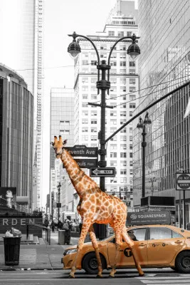 Verticale foto van een giraffe voor gebouwen in New York, zwart-wit met kleuraccenten