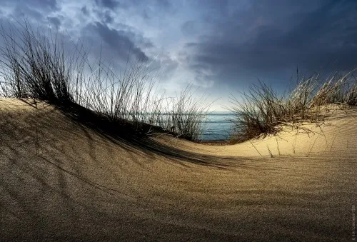 Horizontale foto van zandduinen met riet en kustlijn bij de Hollandse zee tijdens rustige ochtend