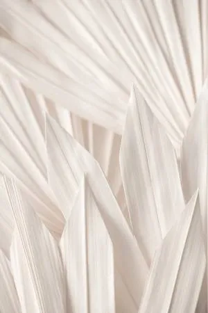 Verticale foto van palmbladeren in een grafisch patroon met lichte buitenachtergrond