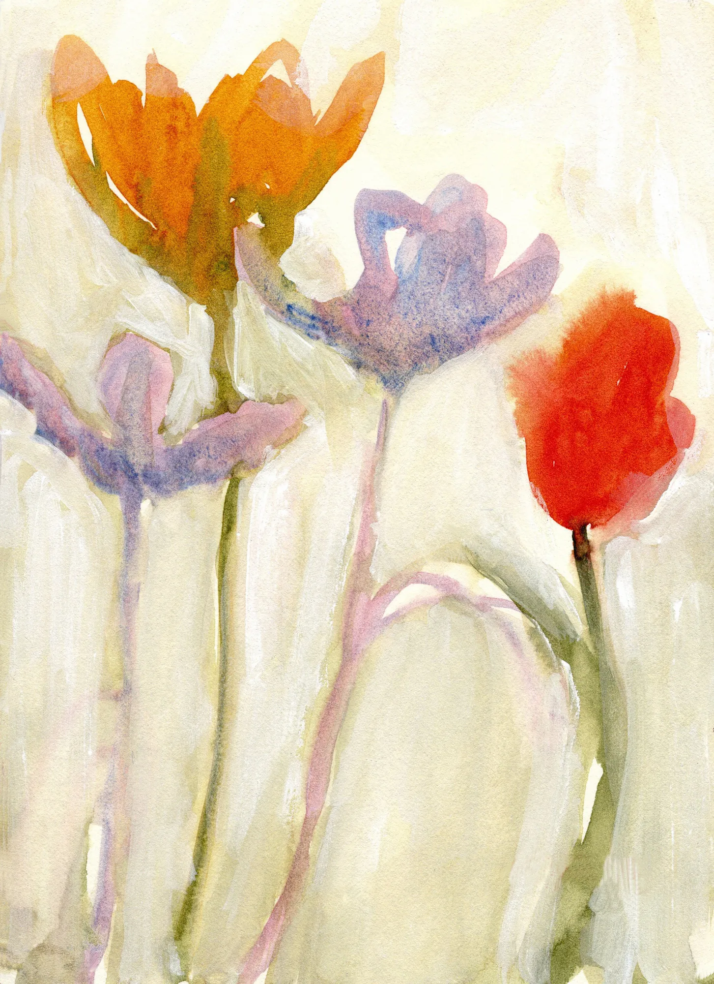 Tulpen in lente ii van janel bragg
