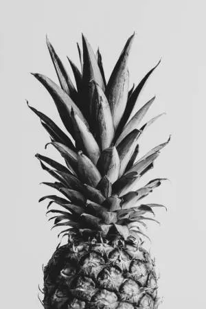Verticale zwart-wit foto van een ananas zonder achtergrond, botanisch stilleven