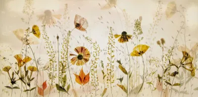 panoramische fotografie van een geel veld met gras en bloemen in zachte dubbele belichting