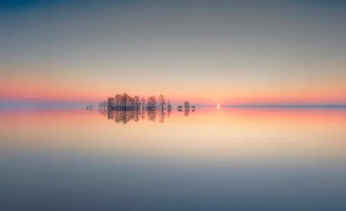 Horizontale foto van Lake Mattamuskeet met bald-cypress bomen en pastelkleuren bij zonsopgang